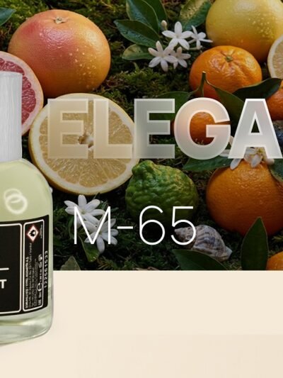 M-65 Kvapusis vanduo Eyfel Elegant  EDP vyrams 50 ml