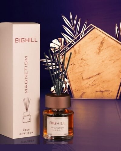 Namų kvapas su lazdelėmis  EYFEL BIGHILL MAGNETISM 120 ml.