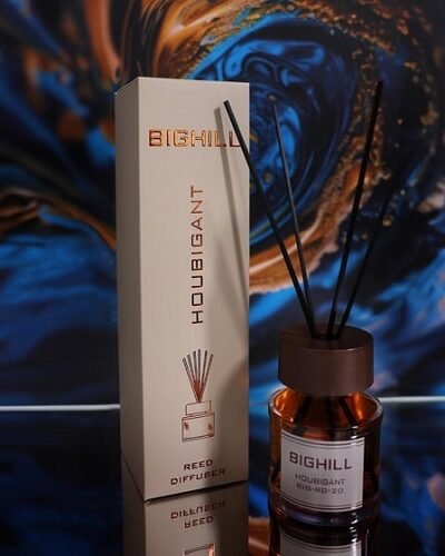 Namų kvapas su lazdelėmis  EYFEL BIGHILL HOIBIGANT 120 ml.