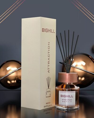Namų kvapas su lazdelėmis  EYFEL BIGHILL ATTRACTION 120 ml.