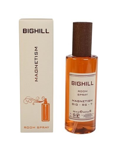 250 ml Eyfel BigHill Purškiamas namų kvapas  Magnetism